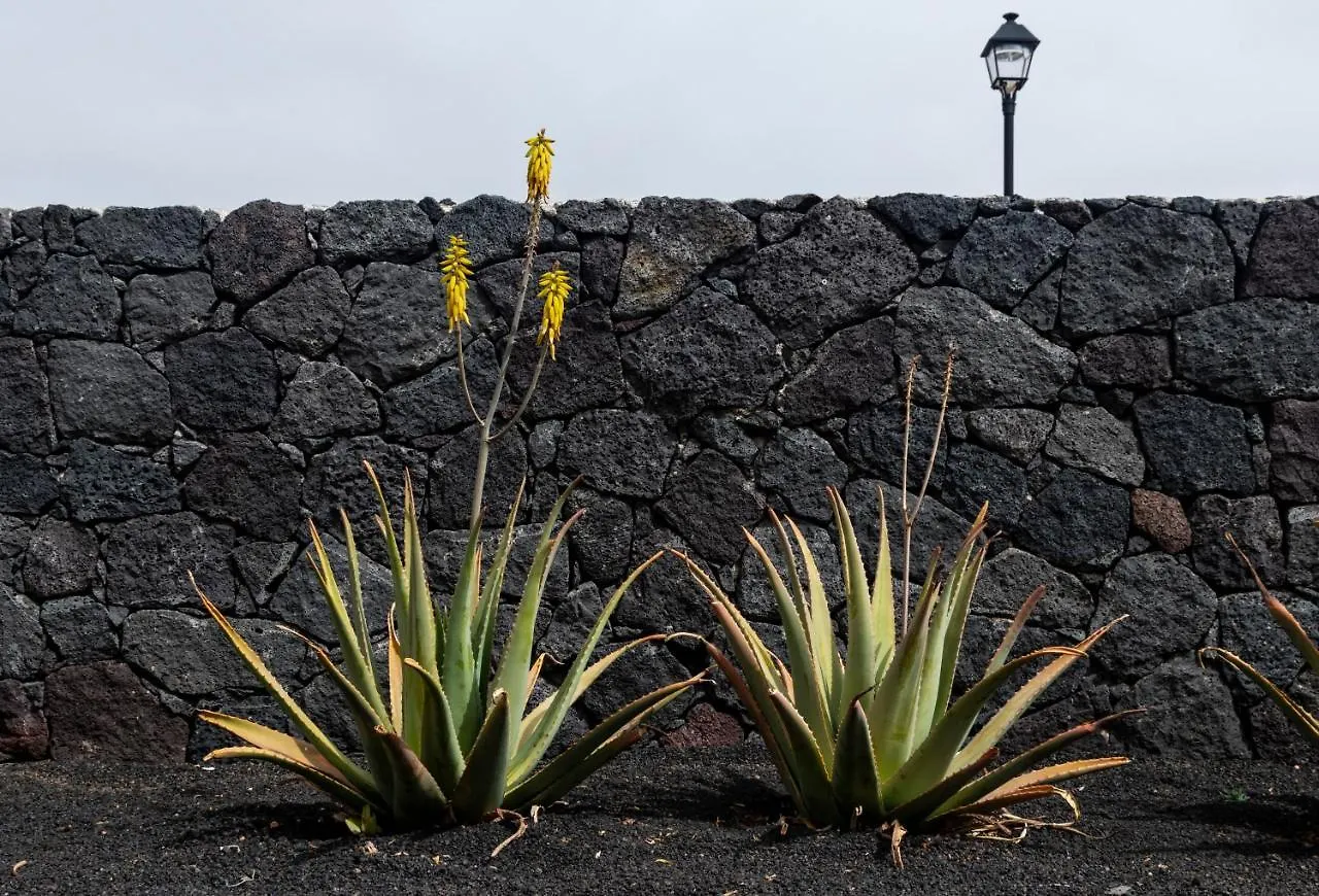 Holiday home Lanzarote Natura Houses